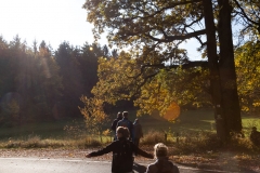 Herbstliche Wälder bei Castell