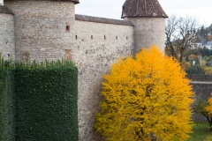 IMG_1711