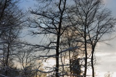 panorama-odenwald-winter