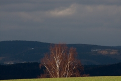 Spätherbst in Thüringen Farbspiel